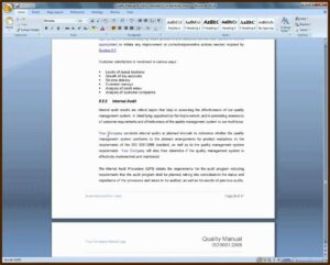 Iso 9001 Quality Manual Examples