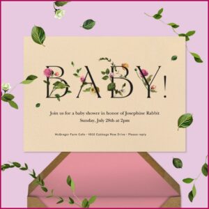 Paperless Post Birth Announcement