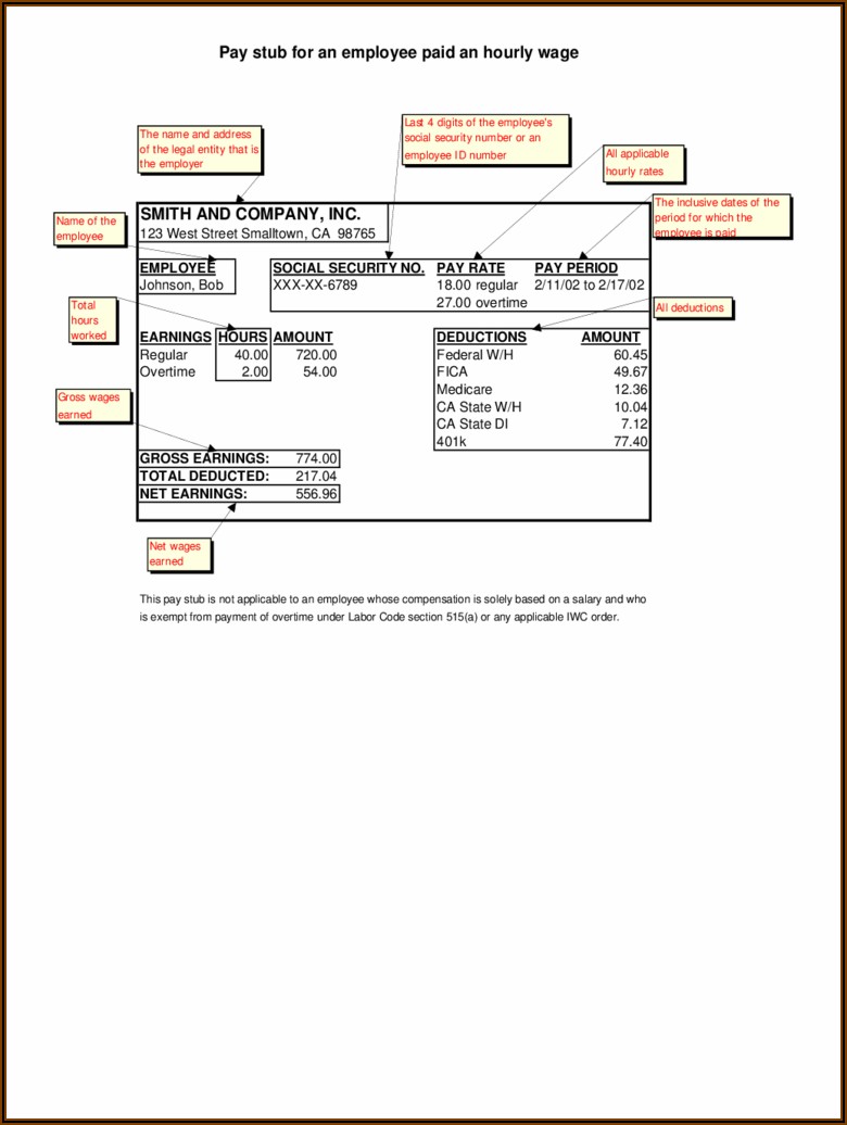 Pay Stub Template Pdf Download
