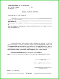 Power Of Attorney Template South Africa