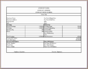 Printable Pay Stub Template Free Canada