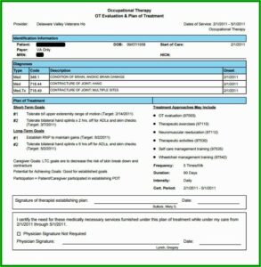 Psychotherapy Progress Notes Template Pdf