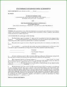 S Corporation Shareholder Agreement Template