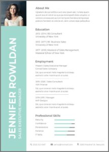 Sales Executive Resume Format Download