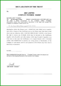 Shareholder Resolution Template Nz