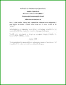 Shareholder Resolution Template South Africa