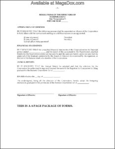 Shareholder Resolution Template Word