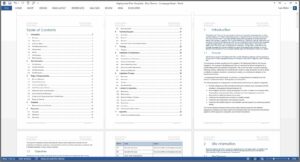 Software Deployment Plan Template Word