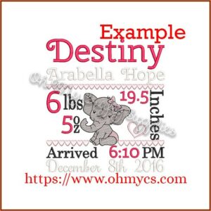 Subway Tile Birth Announcement Embroidery Design