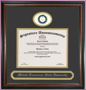 Tennessee State University Graduation Announcements