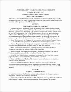 Texas Single Member Llc Operating Agreement Template
