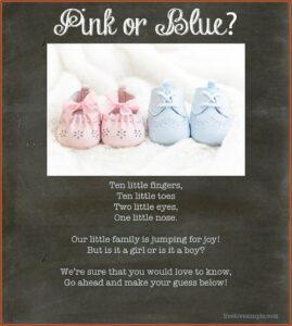 Twin Pregnancy Announcement Riddles