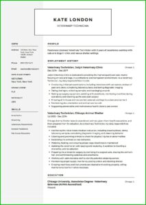 Veterinary Tech Resume Example