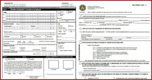 Voters Application Form Pdf