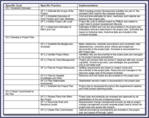 Client Case Management Plan Template