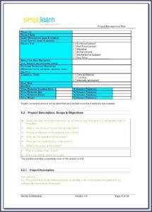 Client Relationship Management Plan Template