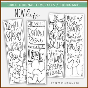 Double Sided Brochure Template Google Docs