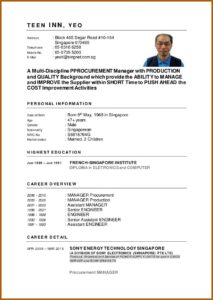 Effective Resume Templates 2020