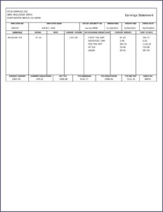 Household Employee Pay Stub Template