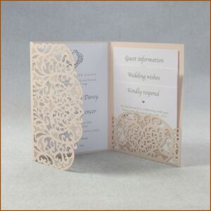 Laser Cut Pocket Wedding Invitations Diy
