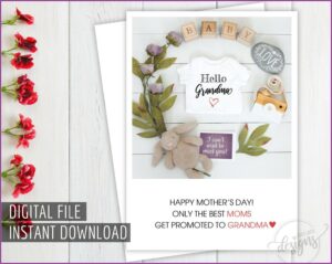 Pregnancy Announcement Cards Shutterfly