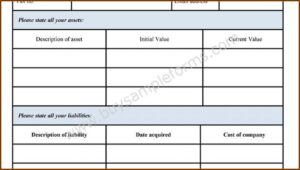 Sample Blank Personal Financial Statement Form