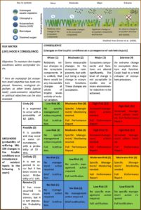 Sports Venue Risk Assessment Template