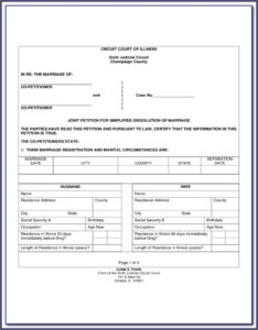 Supreme Court Affidavit Template