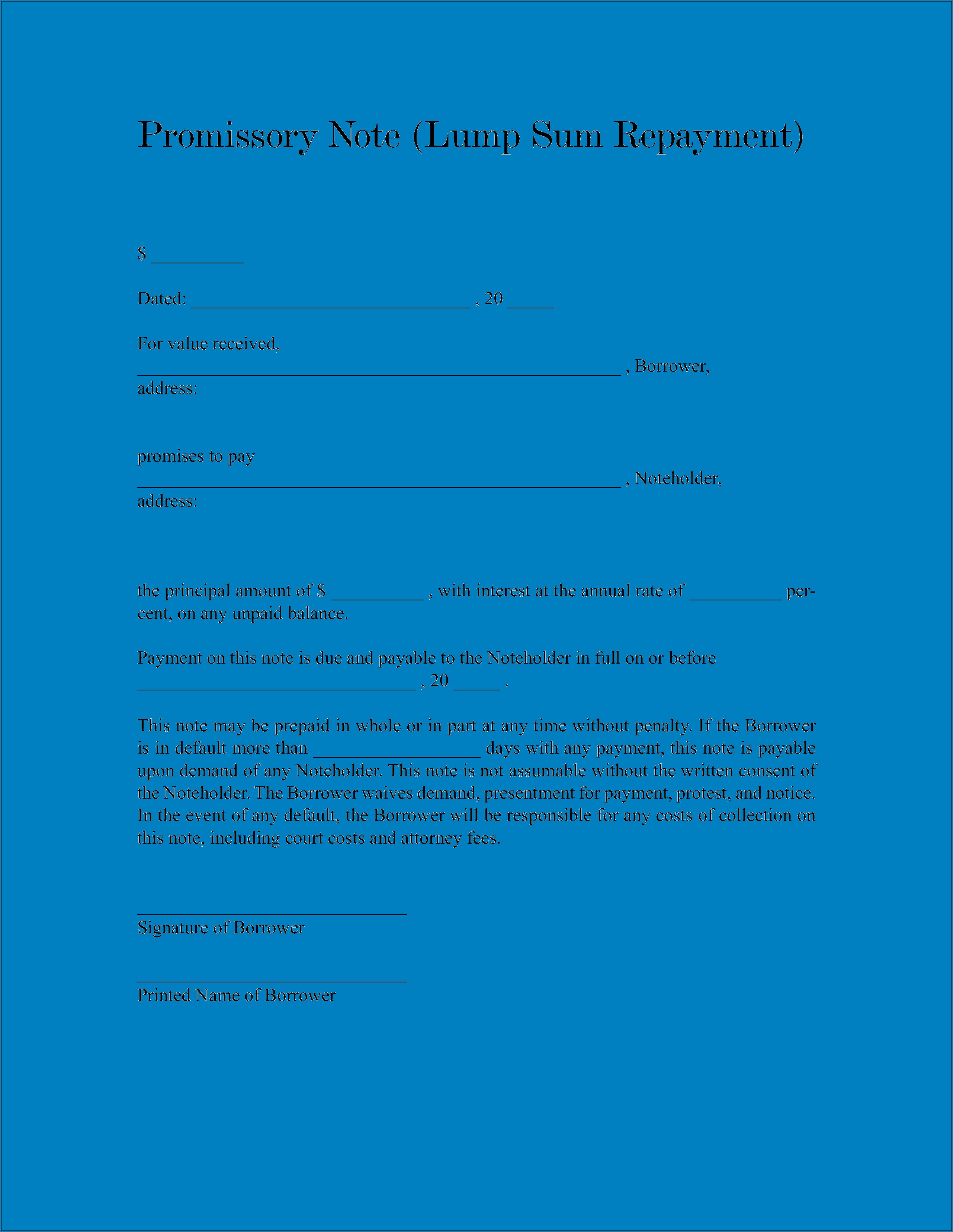 Unsecured Promissory Note Lump Sum Payment Template