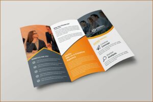 3 Fold Brochure Design Templates