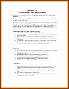 30 60 90 Day Medical Sales Plan Template Free