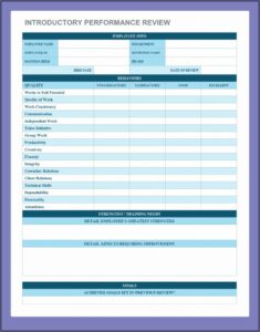 Annual Performance Appraisal Form Sample Word