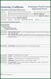 Annual Performance Appraisal Form Template