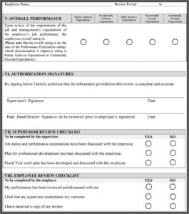 Annual Performance Review Format