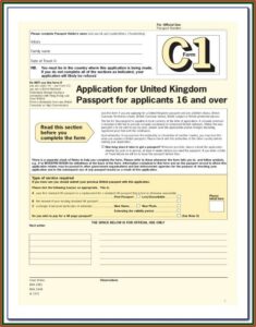Application Form For Lost Or Stolen Passport