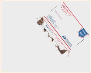 Avery File Folder Template 8593