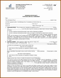 Business Purchase Agreement Word Doc