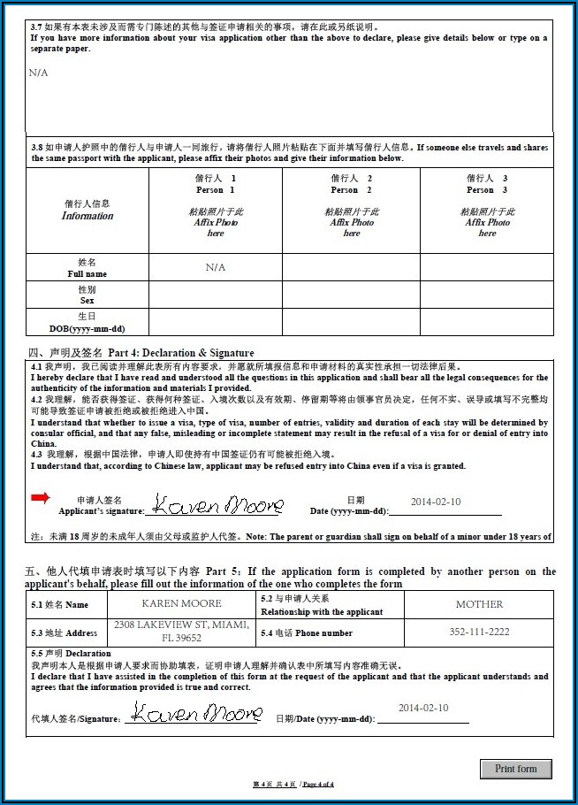 China X Visa Application Form Download