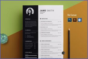 Creative Curriculum Vitae Template Word Free Download