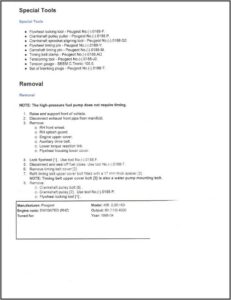 Emotional Support Animal Certificate Template