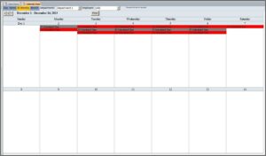 Employee Pto Tracker Template