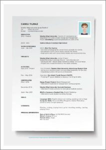 Fillable Printable Resume Templates