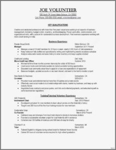 Fillable Sample Resume