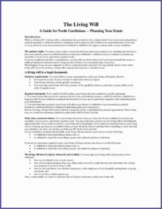 Florida Last Will And Testament Template