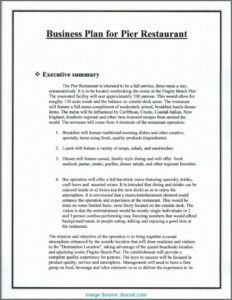 Franchise Business Plan Template Free