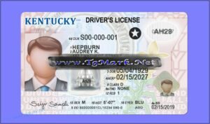 Free Emotional Support Animal Id Card Template