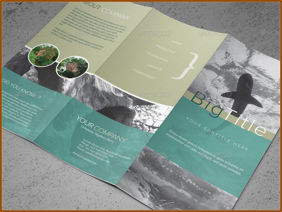 Free Tri Fold Brochure Design Templates Psd