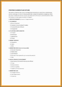 Growthink Ultimate Business Plan Template Doc