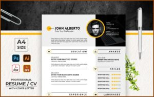 Job Resume Format Free