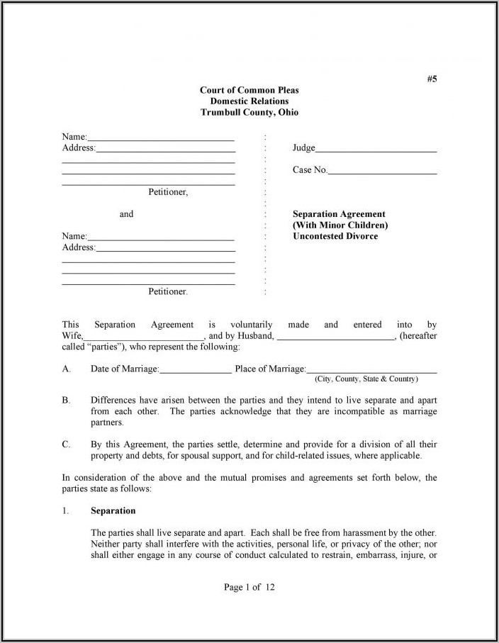 Marital Settlement Agreement Template Pennsylvania